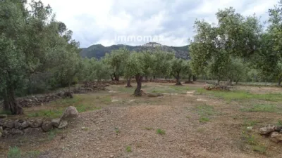 Rustic Finca in Xerta photo 20