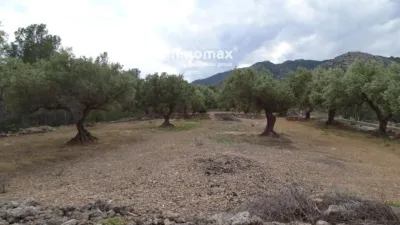 Rustic Finca in Xerta photo 21