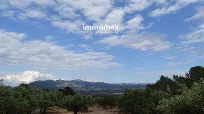 Rustic Finca in Xerta photo 22