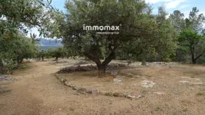 Rustic Finca in Xerta photo 23