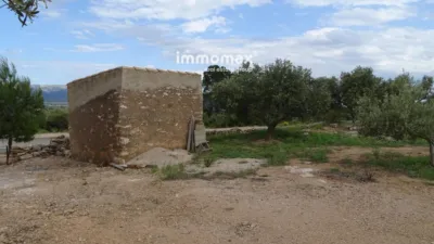 Rustic Finca in Xerta photo 24