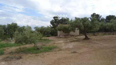 Rustic Finca in Xerta photo 25