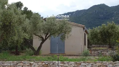 Rustic Finca in Xerta photo 5