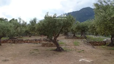 Rustic Finca in Xerta photo 6