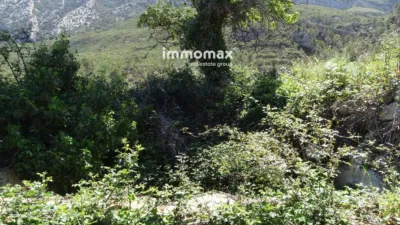 Rustic Finca in Horta de Sant Joan photo 13