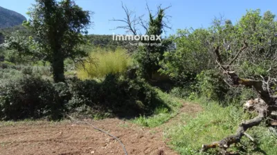 Rustic Finca in Horta de Sant Joan photo 16