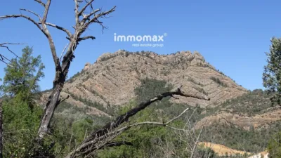 Rustic Finca in Horta de Sant Joan photo 17
