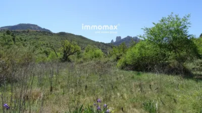 Rustic finca in Horta de Sant Joan photo 11
