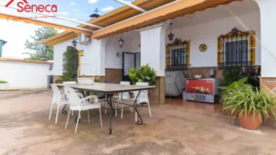 Chalet in La Carlota photo 31