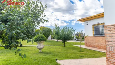 Chalet in La Carlota photo 8