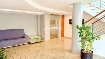 Apartment on Carrer del Llevant, 8 photo 3