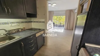 Apartment at Avinguda de Fages de Climent, 1 photo 5