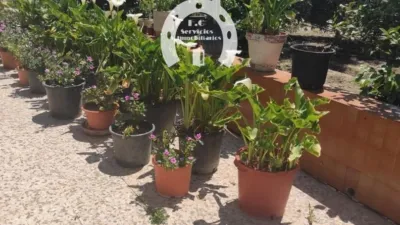 Casa – Elche, la Baia - Vista 5