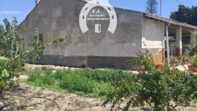 Casa – Elche, la Baia - Más
