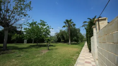 Semi-detached house in Platja Muchavista photo 36