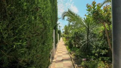 Semi-detached house in Platja Muchavista photo 7