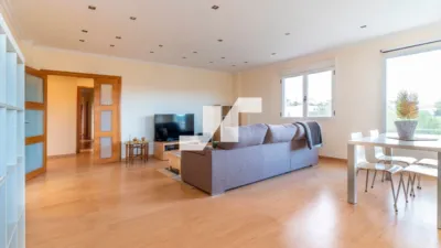 Chalet on Calle de los Sauces photo 15