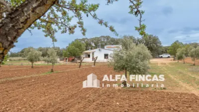 Casa – Villarrobledo, Albacete - Vista 2