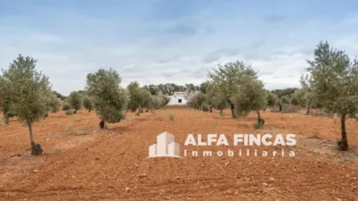 Casa – Villarrobledo, Albacete - Vista 3