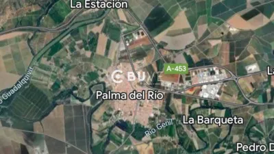 Chalet in Palma del Río photo 30