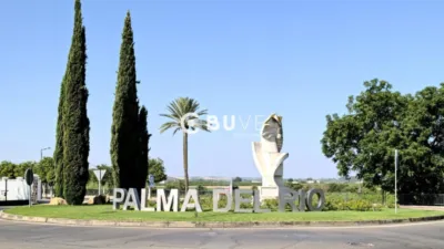 Chalet in Palma del Río photo 57