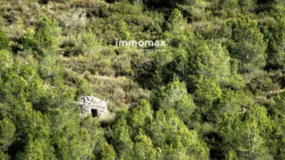 House in Olivella photo 20