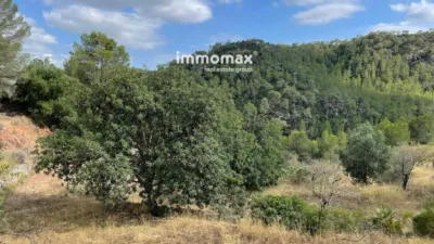 Rustic Finca in Paüls photo 5