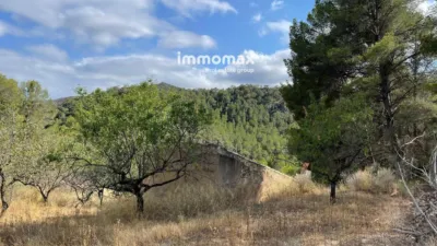 Rustic Finca in Paüls photo 7