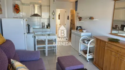Apartment on Carles Fages Climent Street, No. 7 photo 14