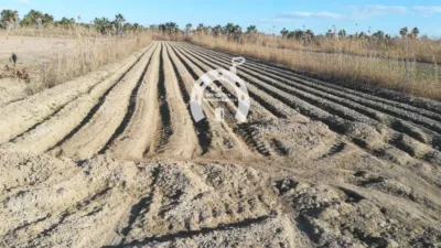 Terreno en venta en Crta Guardamar - Vista 2