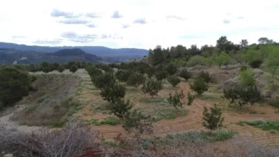 Rustic finca in Xerta photo 10