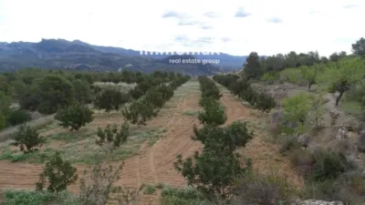 Rustic finca in Xerta photo 2