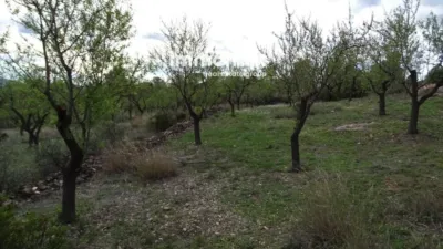 Rustic finca in Xerta photo 3