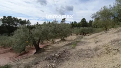 Rustic finca in Xerta photo 7