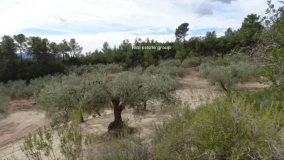 Rustic finca in Xerta photo 8