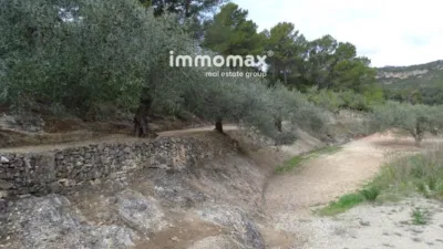 Rustic finca in Xerta photo 9