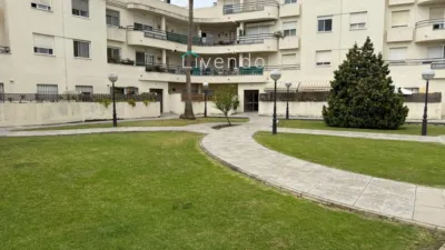 Apartment in Caseria photo 17