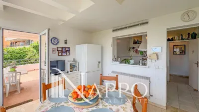 Chalet in Cala Major photo 14