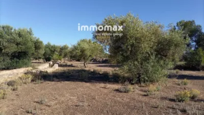 Rustic Finca in Xerta photo 2