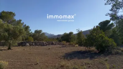 Rustic Finca in Xerta photo 3
