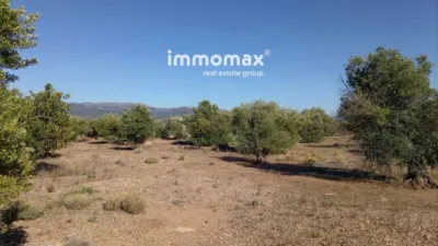 Rustic Finca in Xerta photo 4