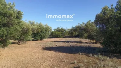 Rustic Finca in Xerta photo 7