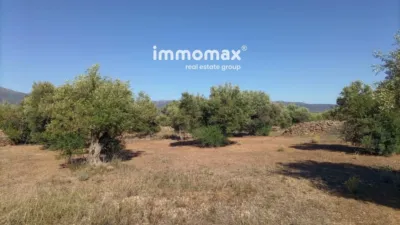 Rustic Finca in Xerta photo 8