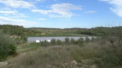 Rustic farm in El Pinell de Brai photo 11