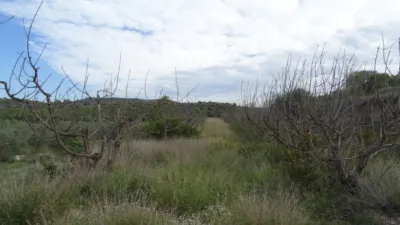 Rustic farm in El Pinell de Brai photo 12