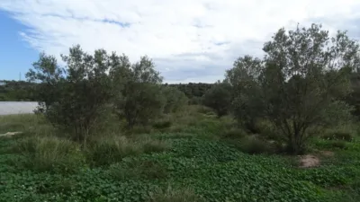 Rustic farm in El Pinell de Brai photo 13