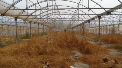 Rustic farm in El Pinell de Brai photo 15