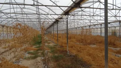 Rustic farm in El Pinell de Brai photo 16