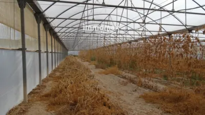 Rustic farm in El Pinell de Brai photo 17