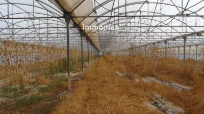 Rustic farm in El Pinell de Brai photo 18